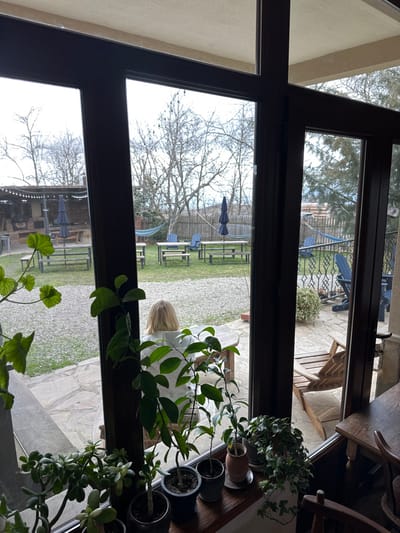 The image depicts an interior view through a multi-pane, dark-framed window looking out onto an outdoor garden area in Sighnaghi, Georgia. In the immediate foreground, a windowsill displays a collection of potted plants, including a jade plant, various saplings, and ivy. Directly outside the window, a light-haired individual is seated with their back to the camera, at a light-colored wooden table on a stone-paved patio; they are wearing a light-colored hooded garment. The outdoor garden, with a mix of grass and gravel paths, is furnished with multiple wooden picnic tables and benches, several blue Adirondack chairs, and two closed blue market umbrellas. Two hammocks are strung between bare deciduous trees within the garden. An outdoor cooking or barbecue structure with a dark roof is visible on the far left. A wooden fence encloses the garden perimeter. Beyond the garden, additional bare trees and distant hills are discernible under an overcast sky.