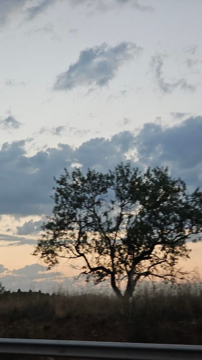 The image captures a blurry, horizontal view of a landscape at dusk. The sky is filled with scattered, dark grey clouds against a pale, hazy background that transitions to a soft orange hue near the horizon. Silhouetted against the sky is a large, dense tree with visible branches, its leaves blurred due to motion. The ground below is covered in dark, out-of-focus vegetation and appears to be a hillside. In the foreground, a dull grey metallic barrier or railing is visible, suggesting the photograph was taken from a moving vehicle. The overall impression is one of a fleeting, atmospheric moment on a road passing through a rural or semi-rural area, possibly on the outskirts of El Frasno, Spain, given the context. There are no people or discernible actions depicted.