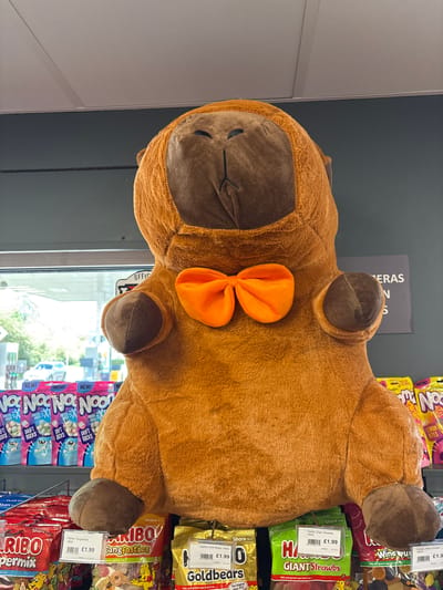 A plush toy of a brown animal, possibly a deer, with a large orange bow, rests atop shelves stocked with various candies and sweets. The shelves are located in a shop, presumably in Oswestry, United Kingdom, as indicated by price tags in British pounds. The candies include brands like Haribo, featuring items like "Giant Strawbs", "Goldbears", "Tangfastics", and "Wine Gums". A sign for "Noon" brand candy is also visible. The background shows a window, partially obscured by the shelves, suggesting an interior view of a store.