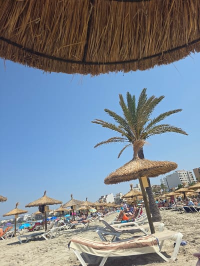 The image captures a sunny day at a beach in S'arenal, Spain, likely during the peak tourist season. The foreground features a wide shot of a sandy beach with numerous straw-covered umbrellas and lounge chairs set up for beachgoers. Several palm trees are visible, some of which are incorporated into the design of the umbrellas. In the background, the clear blue sky is dotted with distant buildings, suggesting the beach is located within or adjacent to a populated area. A number of people are scattered across the beach, some relaxing on lounge chairs and others potentially swimming or walking near the water's edge, though the water itself is not clearly depicted. The overall scene is one of a bustling, recreational beach environment.