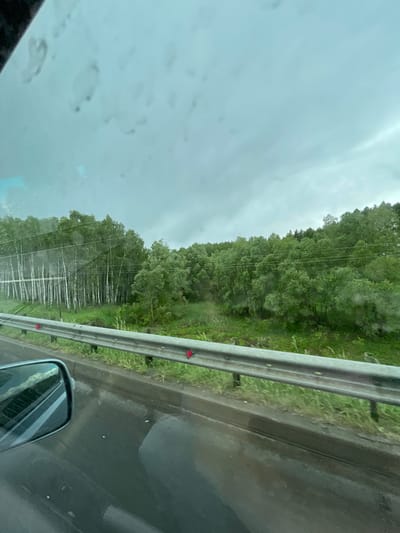 The image depicts a view from inside a vehicle, likely on a road trip. A guardrail runs along the right side of the frame, separating the road from a densely wooded area. The trees exhibit a variety of greens, indicating diverse foliage. The sky is overcast and appears to be rainy, with raindrops visible on the windshield. The road is wet, suggesting recent or ongoing precipitation. A side mirror is visible on the right. The image does not clearly point out the exact location in the city of Kokino, Russia, and the information can not be confirmed. No people are visible in the image.