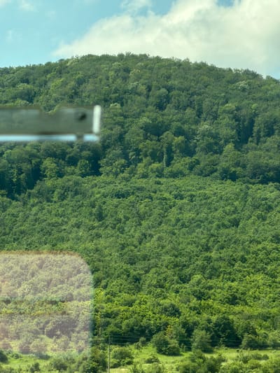 An outdoor, medium shot, vertical, eye-level photograph shows a dense, green, tree-covered hill in the city of Mirovo, Bulgaria. A horizontal, light-colored metal bar is in the foreground, partially obscuring the view of the hill. A translucent overlay of trees is visible on the left side of the hill. The sky above is light blue with scattered white clouds. The overall lighting is bright, suggesting daytime.