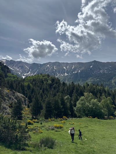 The image displays an expansive mountain landscape in Porté-Puymorens, France, under a sky with scattered cumulus clouds. Distant rugged grey mountains exhibit patches of snow along their peaks. Below the mountain range, a dense forest covers the midground, composed of both dark green coniferous trees and lighter green deciduous trees. The foreground features a vibrant green grassy field interspersed with clusters of bright yellow flowering bushes. Rocky outcrops with sparse vegetation are visible on the left side of the foreground. Two individuals traverse the grassy field from left to right: an adult female, wearing a white sleeveless top and dark leggings, carries a white item over her left arm, while a child in a dark t-shirt and pants walks or runs a few steps ahead and to the right of the adult. A dark vertical structure, consistent with an electricity pylon, is partially visible on the far right against the distant mountain ridge, somewhat obscured by trees. The scene is brightly illuminated, indicating daytime.
