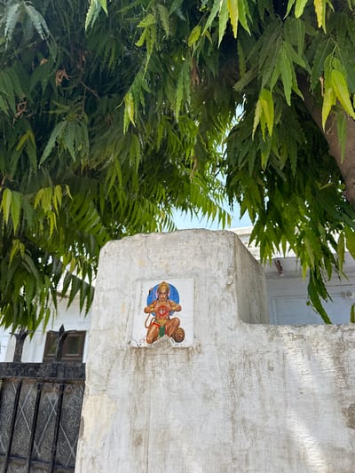 A close-up, sideways shot in Mathura, India, shows a concrete structure adorned with a tiled image of Hanuman, a Hindu deity. The tile is colorful with a blue background and shows Hanuman in an orange body. Lush green foliage fills the left of the frame, partially obscuring the blue sky above. Below the concrete structure is a black wrought iron gate. The scene is brightly lit, emphasizing the textures of the concrete, the detail of the foliage, and the details on the Hanuman tile. The photograph focuses on the juxtaposition of nature, religious iconography, and architectural elements in an urban setting.