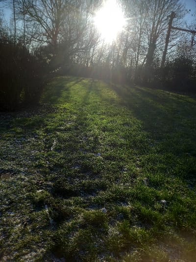 The scene depicts an outdoor natural environment, likely a park or open field, located within Sallaumines, France. The foreground and midground are covered in green grass, with visible patches of frost or dew across the blades, indicating cool ambient temperatures. The ground gently slopes upwards towards the background. A dense line of deciduous trees and bushes, predominantly bare of leaves, forms the horizon. Strong sunlight originates from the upper-right portion of the frame, causing significant lens flare and casting long, distinct shadows from the trees across the grass. On the far right, partially obscured by foliage, a dark, angular structural object, possibly a weathered wooden or metal frame with a horizontal and diagonal beam, is visible. No human figures or other identifiable human-made objects are present in the immediate vicinity. The precise location within Sallaumines is not visually discernible from the image content.