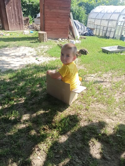 A young child with blue eyes and light brown hair, wearing a bright yellow t-shirt, is sitting in a cardboard box outdoors. The child is looking towards the camera with a curious expression. The setting appears to be a backyard or rural area, with a patch of green grass and dirt visible. In the background, there is a greenhouse-like structure and some wooden fencing. The sun is shining, casting shadows on the ground, suggesting it is daytime. The scene is casual and playful, with the child engaged in imaginative play within the box. No visible text is present in the image. The location context is Bobrytsia, Ukraine.