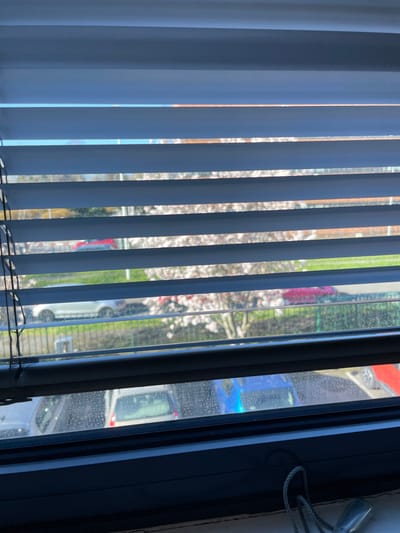 The image presents an exterior view of Montigny-le-Bretonneux, France, observed through a partially open window fitted with horizontal grey venetian blinds. The upper frame consists primarily of the blinds, with narrow horizontal gaps revealing a bright blue sky and distant, indistinct structures. The lower section displays a dark window frame, a clear glass pane exhibiting visible water spots or residue, and a white window sill on which a coiled white blind cord with a grey stopper is resting.
Beyond the window, an outdoor environment is visible under natural daylight. A parking area occupies the mid-ground, containing several parked vehicles; identifiable colors include a white sedan on the left, a silver hatchback in the center, a blue car partially visible at the bottom right, and a red car. A strip of green grass or foliage separates the parking from a dark metal fence. Beyond the fence, a line of trees densely covered in white and pink blossoms, characteristic of flowering deciduous trees in spring, is prominent. No individuals are visible. The overall scene indicates daytime with clear weather.
