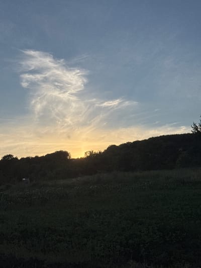 The image depicts a landscape scene in Lisnyky, Ukraine, likely during twilight. The sky is a gradient of pale blue at the top, transitioning to a soft yellow near the horizon where the sun is setting. Wispy, cirrus clouds are scattered across the upper portion of the sky. A dark, silhouetted tree line forms the horizon, obscuring the details of the land beyond. In the foreground, a dark, grassy field stretches towards the viewer, with some lighter vegetation visible. The overall impression is one of a peaceful, natural setting at the end of the day.