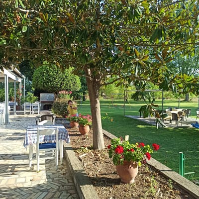 The image depicts an outdoor dining area at what appears to be a restaurant or cafe in Limani Litochorou, Greece. The foreground features a patio paved with irregular stone tiles. On the patio, a white table is covered with a blue and white checkered tablecloth, and a white chair with a blue seat cushion is pulled up to it. To the right, a raised flower bed contains two terracotta pots; one is overflowing with vibrant red geraniums, and another, further back, is empty.
Behind the patio, a large tree with broad green leaves provides shade. A person wearing a yellow t-shirt and shorts stands near a bush on the right side of the image, looking down at a smartphone. In the background, a brick barbecue or oven is visible. Beyond that, a well-maintained green lawn stretches out, featuring children's playground equipment including swings. Several outdoor tables and chairs, some covered with light-colored tablecloths, are set up on another paved area to the left, under a covered structure. The environment suggests a pleasant, sunny day, with dappled sunlight and shadows cast across the patio. The architecture visible on the left is simple, with white columns and a light-colored roof.