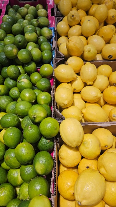 The image shows a close-up, overhead view of two crates of citrus fruits. The crate on the left is filled with numerous bright green limes, densely packed together. The crate on the right is filled with bright yellow lemons, also densely packed. The fruits are plump and appear fresh. The background is slightly blurred but shows additional crates of similar fruit, suggesting a market or grocery store setting. The lighting is bright, highlighting the textures and colors of the fruits. There are no people or discernible actions occurring. The overall scene is one of abundant produce. The city of Corbara, France, is not visually represented in the image.