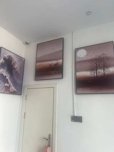 Three framed pictures are displayed on a white wall in what appears to be a hallway or common area. The leftmost picture depicts a stylized, textured wave with shades of purple and white. The middle picture features a silhouette of a deer with antlers in a misty, sepia-toned landscape, with a flock of small birds in the sky. The rightmost picture shows a silhouette of bare trees against a dusky sky with a full moon and a flock of birds. A white door with a silver handle and keys hanging from it is visible to the left of the middle and rightmost pictures. Electrical conduits run along the wall, connecting to a recessed light fixture in the ceiling and a gray electrical outlet box. The environment suggests an indoor setting within a building in Jinyun County, China.