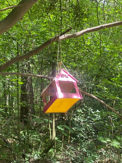 A brightly colored, homemade bird feeder, painted pink and yellow, hangs suspended by a rope from tree branches in a dense, leafy forest. The feeder is a simple, open-sided structure with a sloped roof. It appears to be made of wood. The surrounding foliage is lush and green, indicating a warm season, likely spring or summer, and the lighting suggests it's daytime. The scene is serene and natural, with no people or animals visible. The forest setting provides a backdrop of dappled sunlight filtering through the leaves, creating a peaceful atmosphere. The bird feeder's vibrant colors contrast with the natural greens and browns of the forest. The image is oriented vertically. The location is identified as Kotelniki, Russia.