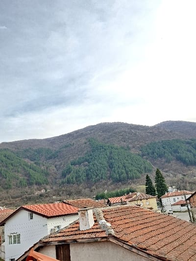 The image captures an elevated view of the village of Krupnik, Bulgaria, situated within a mountainous region under an overcast sky. In the foreground, a weathered terracotta tiled roof with a rectangular white chimney structure is visible. The mid-ground encompasses numerous residential buildings, predominantly featuring red terracotta tile roofs, interspersed among deciduous trees in a dormant state and several dark green coniferous trees. A multi-story white house with multiple windows is prominent on the left. Further back, a narrow road or path is discernible between structures, with a light-colored vehicle visible. The background is dominated by a forested mountain range, showing a mix of bare deciduous trees and evergreen sections, rising towards a light grey, cloudy sky. No individuals are present in the scene.