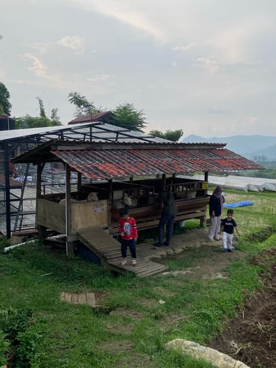 In Tamiajeng, Indonesia, a partially-roofed wooden structure with an attached caged enclosure stands alongside a grassy area. People, including adults and children, are present, some standing on a wooden walkway adjacent to the structure. The structure has a corrugated metal roof, and appears to house livestock. Beyond the structure, there is a terraced rice paddy landscape and a cloudy sky.
