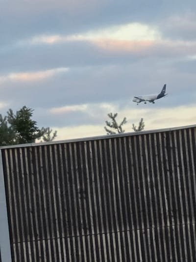 An airplane is depicted in flight against a cloudy sky. Below the airplane, a wooden fence with vertical planks is visible, along with some trees. The airplane appears to be a commercial jetliner, with its landing gear extended, suggesting it is either preparing to land or has just taken off. The sky is partly cloudy with some areas of pinkish hue, indicating it might be dawn or dusk. The overall scene suggests an outdoor setting near an airport. The location is identified as Flörsheim, Germany.