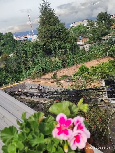 The image depicts an elevated view of a residential area in Puembo, Ecuador, captured on February 13, 2026, at 08:21. In the immediate foreground, a blurred plant with vibrant green leaves and multiple pink and white flowers, likely geraniums, is visible. To the left, a portion of a metallic, ridged roof is present.

The midground features a concrete or paved surface with a dark checkered pattern, situated below the roofline. A single individual, seen from behind, walks from left to right across this paved area, wearing a light-colored shirt with horizontal dark stripes and dark pants. Behind this person, a low brick wall separates the paved area from dense green vegetation. Numerous black utility cables are strung horizontally across the midground, partially obscuring the view of the paved surface and the person.

The background consists of a steeply rising landscape covered in abundant green foliage, including a prominent tall coniferous tree in the center. Scattered amongst the trees and dense undergrowth are various residential structures and a long, reddish-brown brick retaining wall or building foundation running diagonally across the hillside. To the left of the large tree, a distinctive red and white striped communication tower or antenna stands against the sky. The sky above is partially cloudy, with segments of blue visible through white and grey cloud formations.
