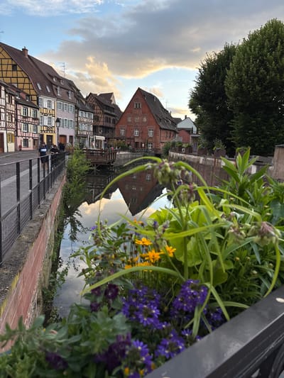 The image depicts a canal in Colmar, France, specifically in the area known as Petite Venise (Little Venice). The canal runs parallel to a cobblestone street lined with traditional half-timbered Alsatian houses painted in various pastel colors. On the left side of the canal, a metal railing separates the street from the water. Two individuals are walking on the street, one wearing a dark blue t-shirt and shorts, the other in a dark top and pants. A lamp post stands on the sidewalk.

The water of the canal reflects the sky, the colorful buildings, and a wooden structure extending over the water. In the foreground, a planter box overflows with lush green foliage, interspersed with clusters of small purple flowers and yellow wildflowers. Trees with dense green canopies are visible further down the canal on the right bank, contrasting with the architectural backdrop. The sky above is a mix of blue and dramatic clouds, with hints of sunset light filtering through. The overall scene captures the picturesque charm of Colmar.