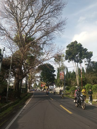 The image depicts a road scene, likely in a tropical or subtropical location. The road is asphalt and has double yellow lines. Several motorcycles are on the road, and two people are jogging on the right side of the road, near a tree line. There are also several signs and trees on both sides of the road. The location is potentially Phou Khoun, Laos, but that location cannot be confirmed with just the images.
