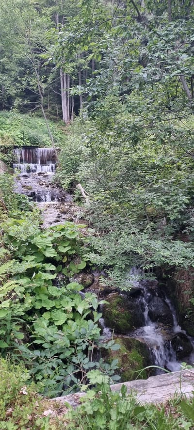 The image depicts a small, multi-tiered waterfall flowing through a lush, green forest. The water cascades over rocks and a man-made wooden structure, creating a serene natural scene. The surrounding vegetation is dense, with a variety of trees, bushes, and large-leafed plants. The lighting suggests an overcast day, as there are no harsh shadows. The scene appears to be in a natural park or forest area, likely a hiking trail given the presence of the wooden structure which could be part of a bridge or dam. The image does not show any people or animals. The location in the city of Martin, Slovakia, is not explicitly identifiable from the visual information alone, but it suggests a natural landscape setting within or near the city.