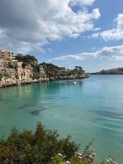 The image displays a coastal inlet in Porto Cristo, Spain, under a partially cloudy sky. The foreground features green shrubbery with scattered small purple and white flowers. Beyond this, a calm body of turquoise-blue water occupies the midground, with visible seabed features indicating clarity. A single white sailboat with a mast is centrally located in the water. The left side of the inlet is defined by a light-colored rocky cliff face, topped with evergreen trees and several multi-story buildings featuring light-toned facades. The right side of the inlet also shows treed coastal terrain, extending towards a distant narrow opening to the sea. More structures are visible on the far right coastal elevation. The sky above is a mix of bright blue and scattered white and grey cumulus clouds. No individuals are present.