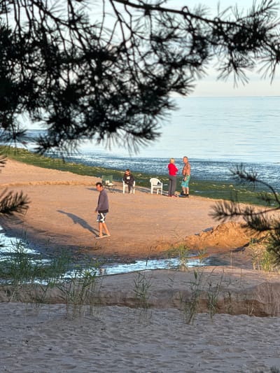 The image depicts a beach scene on a calm day, likely in Shepelevo, Russia, given the context. In the foreground, pine branches obscure the view of a sandy beach with sparse vegetation. Further back, a man in dark shorts and a grey sweatshirt walks towards the viewer, his shadow cast long on the sand. Beyond him, a group of people are gathered near the water's edge. Two individuals, a woman in a red top and dark pants and a man with tattoos wearing patterned swim trunks, stand facing each other, appearing to converse. Another person sits in a white chair, and a fourth is visible in a seated position behind them. The sea is calm and a pale blue, meeting the shore with a thin strip of wet sand and some patches of green algae. The overall lighting suggests late afternoon or early evening.