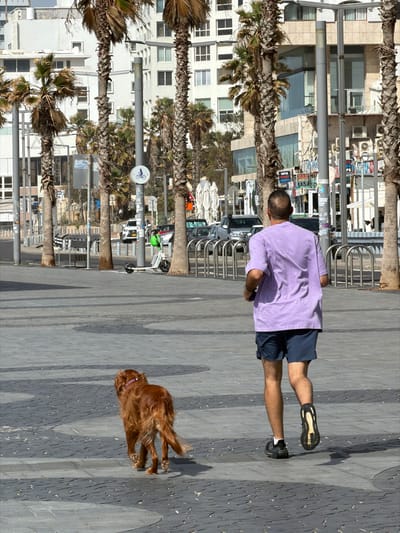 The image depicts an outdoor urban scene on a sunny day in the city of Amman, Jordan. In the foreground, a light-colored paved promenade features dark gray curvilinear patterns. A man, seen from the back, occupies the right side of the frame, walking or lightly jogging to the left. He has short, dark hair and is wearing a loose-fitting, short-sleeved lavender t-shirt and dark blue shorts. His left athletic shoe, dark with a prominent light-colored sole, is partially visible, and his right arm is slightly bent, holding a dark object. To the left of the man, a medium-sized, long-haired, reddish-brown dog with a collar walks in the same direction, its tail slightly raised.
The midground features a line of tall palm trees with prominent trunks, casting shadows. Behind the palm trees and a series of metal bicycle racks, a street is visible with several vehicles, including SUVs and cars. A white electric scooter is parked on the left side of the promenade near the street. A white circular sign with a blue border and a black bicycle pictogram is affixed to a pole. Other vertical grey poles are interspersed throughout the scene.
In the background, multi-story, light-colored modern buildings with numerous windows and balconies line the street. Some structures appear to have glass facades or external air conditioning units. Additional palm trees and dense green foliage are visible between and behind the buildings under a bright sky.