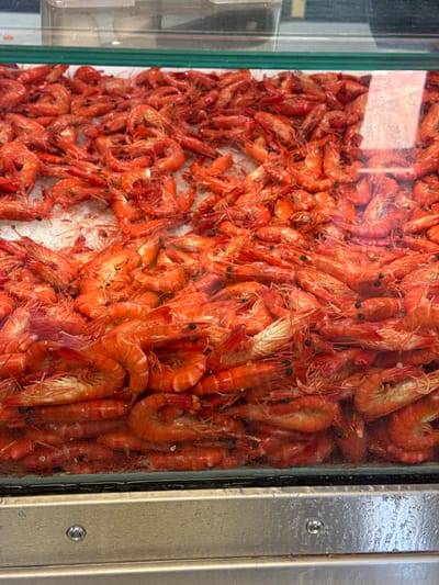 A glass display case overflows with cooked, orange shrimp. The shrimp vary in size, with smaller ones massed on the left and larger ones densely packed on the right. The glass is slightly foggy, and condensation is visible on the stainless steel frame of the case, which has two visible screw heads. The shrimp appear piled high, suggesting a large quantity available for purchase.