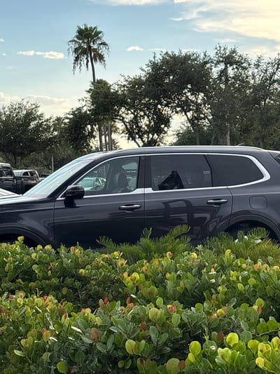 The image is a medium shot, captured from a low angle, of the side of a dark gray SUV parked behind lush green foliage in Venice, Florida. The SUV's windows are tinted, and a person's silhouette is visible in the driver's seat. The background shows trees and a palm tree against a cloudy sky with hints of sunset. The foliage in the foreground is dense, with small green leaves and some reddish new growth. A partial view of another dark-colored vehicle and part of a silver pickup truck is visible behind the SUV on the left side of the frame. The image appears to be taken outdoors during daylight hours, likely in the late afternoon or early evening due to the lighting and sky conditions.