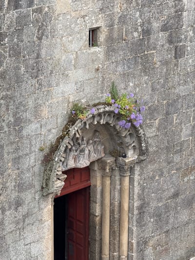 This image captures a close-up view of an ancient stone archway entrance, likely part of a church or cathedral, in Santiago de Compostela, Spain. The stonework is weathered and textured, with visible moss and small green plants growing along the upper curves of the arch. The archway is ornate, featuring carved figures in relief, possibly depicting a biblical scene, beneath a row of smaller decorative elements. Below the sculpted arch, a dark red wooden door, partially ajar, reveals a dark interior. Two cylindrical stone columns flank the doorway, their surfaces appearing worn and textured like the surrounding wall. The overall impression is one of historical significance and enduring architecture, with nature subtly reclaiming parts of the structure.