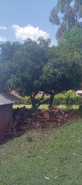 The image depicts an outdoor scene in Getenga ward, Kenya, under a clear blue sky with scattered white clouds, indicating daylight. In the foreground, a sloped area of green grass covers the lower half of the frame. Towards the left of the midground, the corner of a building with reddish-brown brick walls and a corrugated metal roof is partially visible. Centrally positioned is a large, mature tree with dense green foliage and multiple trunks, possibly a mango tree. At the base of this tree, to the left, lies a substantial pile of reddish-brown bricks. The background features additional green trees and dense vegetation. No individuals or specific actions are discernible within the frame.
