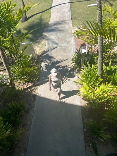 View from above shows a walkway with a person on it, flanked by palm trees. The person is wearing light clothing and a white hat and is walking towards the right. Shadows from the palm trees fall across the walkway. The location is Sainte-Anne, France.