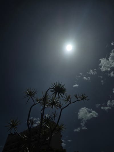 This image is a low-angle shot taken in Puerto de la Cruz, Spain, looking upwards towards the sky. The sun is the dominant light source, appearing as a bright, diffused orb in the upper center of the frame, casting a strong glare. Several spiky, palm-like plants are silhouetted against the sky in the lower half of the image, with their branches and fronds extending upwards. In the background, a dark, multi-story building is visible on the left, partially obscured by the foliage. Scattered white clouds are present in the dark blue sky. The overall impression is of a bright, sunny day with strong contrast between light and shadow.