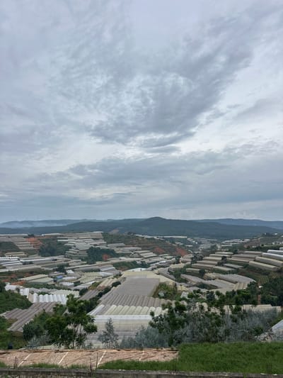 This is a high-angle, vertical, landscape photograph taken in Da Quy, Vietnam. The image depicts a vast agricultural area filled with numerous greenhouses, which dominate the right half of the frame. These structures are neatly arranged in rows, stretching into the distance and covering a hillside. Many of the greenhouses have white or translucent roofs, suggesting they are used for protected cultivation.
Interspersed among the greenhouses are patches of green trees and darker foliage, indicating some areas are not covered by the agricultural structures. The terrain appears to be sloped, with the greenhouses following the contours of the land. In the far distance, a range of hazy, dark green mountains rises against the sky, hinting at a rural or mountainous region.
The sky is overcast with a layer of gray, textured clouds that take up the left half of the image. The lighting is diffused and subdued, suggesting it is either early morning, late afternoon, or a cloudy day. There are no visible people or specific activities taking place in the frame; the focus is on the agricultural landscape and its scale. The overall mood is calm and observational, showcasing the organized agricultural development in the area.