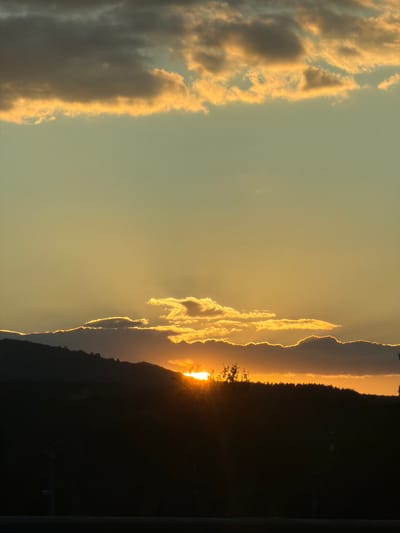 A sunset is captured over Studena, Bulgaria, with the sun partially obscured by clouds near the horizon. The sky transitions from a pale yellow-green at the top to a more intense yellow and orange near the setting sun. Dark, silhouetted hills form the lower third of the image, with a line of trees along the crest. A horizontal element, possibly a railing or barrier, runs across the bottom of the frame. The overall lighting suggests dusk.