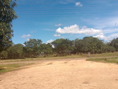 This media file depicts an outdoor scene under a bright blue sky with scattered white clouds. In the foreground, a dusty, light brown ground stretches across the frame, with some sparse, dry vegetation and scattered debris. A paved road runs horizontally across the middle ground, bordered by a strip of green grass and more dry vegetation. Beyond the road, a dense line of trees with lush green foliage forms a natural barrier. The trees vary in height and density, creating a textured backdrop. In the distance, through breaks in the trees, glimpses of buildings and structures can be seen, suggesting a rural or semi-rural settlement. There are also power lines running across the sky. On the right side of the image, a signpost stands near the road, its details obscured. The overall impression is of a warm, sunny day in a tropical or subtropical environment. The scene appears still and quiet, with no discernible activity or people. The lighting suggests it is daytime, likely late morning or early afternoon.