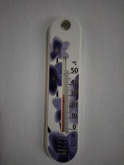 A thermometer is displayed vertically against a light-colored, textured wall. The thermometer features a decorative design of purple flowers and a white background. It has a clear glass tube containing a red liquid that indicates the temperature. The scale is marked in degrees Celsius (°C), with numerical labels for 0, 10, 20, 30, 40, and 50. The red liquid level is positioned between the 20 and 30 degree marks, specifically closer to the 20 degree mark. The top of the thermometer has a hole for hanging. There is no information in the image that would indicate a specific location in České Budějovice, Czechia.