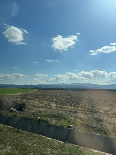 The image depicts an expansive agricultural landscape in Dolno Sahrane, Bulgaria, under a clear, bright blue sky with scattered white cumulus clouds.
In the foreground, a segmented grey concrete irrigation or drainage canal runs horizontally across the lower third of the frame. The area immediately behind the canal is overgrown with dry, light brown grasses and weeds, interspersed with patches of green vegetation. Visible litter, including a piece of crumpled sheet metal and other debris, is present within this overgrown strip, particularly on the left side.
The midground is dominated by cultivated fields. To the left, a vibrant green field, possibly of young crops, curves inward. To its right, a large expanse of dark brown, freshly tilled earth with visible furrows extends across the majority of the midground. A light-colored, unpaved dirt track or road separates the green and brown fields, winding into the distance. A lean, bare deciduous tree or shrub with minimal branches stands near the junction of the green and tilled fields. Further back within the tilled field, slightly right of center, a dark utility pole with crossarms and power lines rises vertically. A distant line of trees or dense vegetation forms a dark horizontal band behind the ploughed field, obscuring the base of the mountains.
In the background, a range of hazy, undulating blue-grey mountains extends across the entire horizon. The sky above is largely clear, displaying a strong blue hue. A distinct triangular reflection, likely from a vehicle's interior, is visible in the upper left corner of the image, indicating the photograph was taken from inside a vehicle. No individuals are present in the scene. The overall lighting suggests a sunny day.