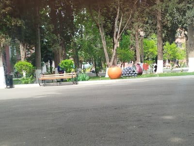 The image depicts a park scene in Ganja, Azerbaijan, likely in a public area. The foreground is dominated by an asphalt road or walkway. In the mid-ground, there's a grassy strip with various trees, bushes, and decorative elements. A wooden bench is situated near a trash receptacle on the left. A large, orange, spherical sculpture resembling a fruit is prominent, accompanied by a pile of dark gray spheres, possibly representing grapes or some other type of fruit. A red vase-shaped sculpture is also visible. In the background, people are strolling through the park, some near trees that have been whitewashed near the base. Buildings are partly visible through the trees, with pink walls and windows. The general impression is that of a well-maintained park within the city.