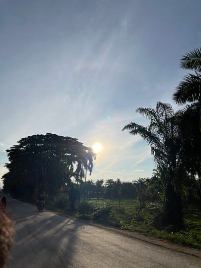 The media file depicts a rural road scene in Alurcucur, Indonesia, under a bright, sunny sky. The sun is positioned high in the sky, suggesting it is daytime, likely late morning or early afternoon, with clear weather indicated by the minimal cloud cover. Tall palm trees and lush green foliage line the side of the asphalt road, casting long shadows. In the distance, what appears to be a rice paddy or cultivated field is visible, surrounded by more dense vegetation.
A person is seen riding a motorcycle on the road, heading away from the viewer. The presence of the motorcycle and the road suggest a mode of transportation commonly used in such areas. The overall atmosphere is serene and natural, evoking a sense of peaceful rural life. The image is captured from a slightly low angle, looking up towards the sky and the tree canopy. No visible text is present in the image.