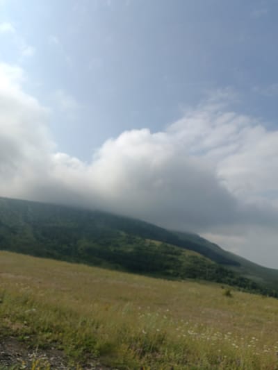 A blurry, overcast day in Jajuravan, Armenia, features a vast, rolling landscape under a pale blue sky. The foreground is dominated by a grassy meadow dotted with small white and yellow wildflowers. The meadow slopes upwards towards a densely forested mountain that rises steeply. The mountain is partially obscured by large, puffy white clouds that hang low, creating a hazy and somewhat mysterious atmosphere. The overall impression is one of natural beauty and tranquility, but the blurriness of the image makes it difficult to discern specific details. There are no people or man-made structures visible in the frame.