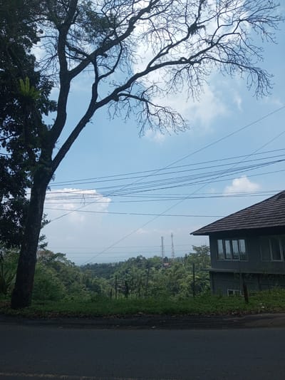 The image shows a view from a road in Nawng Hkar, Myanmar. In the foreground, a dark asphalt road stretches across the bottom. Adjacent to the road is a strip of green vegetation and a grey building with a brown tiled roof. The building has windows on the visible side. In the midground, a valley is filled with dense green trees. Two telecommunication towers are visible in the distance amidst the trees. A large tree stands on the left side of the image, with some foliage and bare branches reaching towards the sky. Overhead, a blue sky is lightly streaked with white clouds and crossed by several power lines.