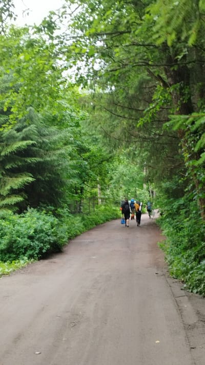 In the city of Orekhovo, Russia, a dirt road stretches through a dense forest. Sunlight filters through the canopy of lush green trees, illuminating the path. Several people, carrying large backpacks, walk away from the camera along the road. The individuals appear to be engaged in a hike or a similar outdoor activity. The forest on either side of the road is thick with vegetation, creating a serene and natural setting. The sky is overcast, contributing to the diffused lighting conditions. The overall scene depicts a group of people enjoying a walk in a wooded area.