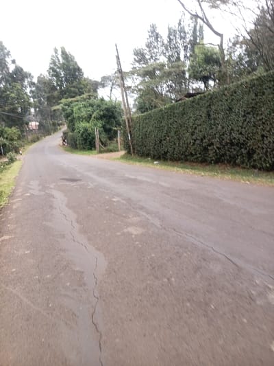 The image depicts a paved road within Ewuaso Oonkidong'i ward, Kenya, under an overcast sky. The asphalt road surface, exhibiting longitudinal cracks and various patches, extends from the foreground, curving gently to the left into the distance. Green grass verges line both sides of the roadway. On the left side, dense, varied green vegetation and tall trees line the curve, with distant structures (possibly houses with reddish-brown roofs) partially visible through the foliage. On the right, a tall, uniformly trimmed green hedge forms a continuous boundary alongside the road. A single vertical wooden utility pole is positioned on the right verge, preceding the hedge. Behind the hedge, additional tall trees with diverse canopies are visible. No individuals, vehicles, or animals are present in the static scene. A small, light-colored piece of debris is visible on the grass verge near the hedge on the right.