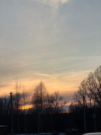 A landscape photograph captures a dramatic sky at what appears to be either sunrise or sunset, with bare trees silhouetted against the light. The sky transitions from a soft, pale gray to a warm, golden hue near the horizon. The silhouettes of the bare trees frame the top and bottom edges of the image, and a power pole is visible on the bottom right corner. The horizon line is partially obscured by the trees. The photograph appears to be taken in a rural or suburban area, and the lighting suggests a quiet, serene moment. While I do not see any indications that the photograph was taken in Дулесово, Russia, the image depicts an environment common to areas with a similar climate where deciduous trees lose their leaves.