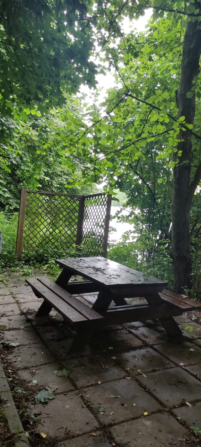 The image depicts a wooden picnic table and benches situated on a paved patio area in a natural setting. The scene appears to be a park or a recreational area, possibly near a body of water as indicated by a faint blueish hue in the background. Lush green foliage from surrounding trees overhangs the area, creating a shaded atmosphere. The picnic table and benches show signs of being wet, suggesting recent rain or dew. Leaves and other natural debris are scattered across the patio stones. A wooden lattice fence is visible to the left of the table. The overall impression is one of a tranquil, slightly damp, outdoor environment. The location is identified as Angelovo, Russia.