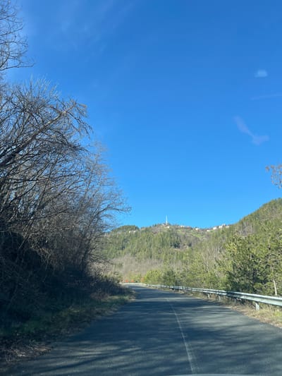 The image presents a view from an asphalt road, curving gently to the right, in the vicinity of Stoianovo, Bulgaria. The road displays a faded white dashed centerline and is partially covered by shadows. To the immediate left, a steep embankment is densely overgrown with bare deciduous trees and underbrush. A metallic guardrail delineates the right edge of the road, beyond which various evergreen trees and vegetation populate a descending slope. Further along the road's curve, several orange traffic cones are visible on the left shoulder, suggesting ongoing work or a warning. In the midground, the landscape is characterized by forested hillsides. The background is dominated by a prominent green mountain, heavily covered with evergreen trees, upon which the village of Stoianovo is situated. Multiple light-colored structures and a tall, slender communications tower are visible at the mountain's summit. The sky above is clear and bright blue, exhibiting minimal cirrus clouds and faint, elongated reflections in the upper right quadrant. No individuals or vehicles are explicitly present.