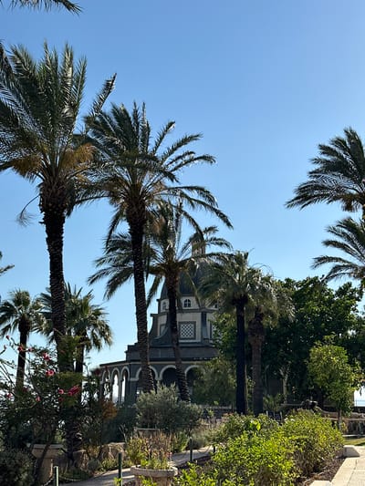 The image depicts a serene view of the Church of the Beatitudes, located on the Mount of Beatitudes in the Emek HaYarden Regional Council, Israel. The church, characterized by its octagonal design and domed roof, is partially obscured by lush palm trees. The foreground is filled with a variety of plants and flowers, some in decorative planters, suggesting a well-maintained garden. The sky is a clear, bright blue, indicating a sunny day. The overall atmosphere is tranquil and picturesque.