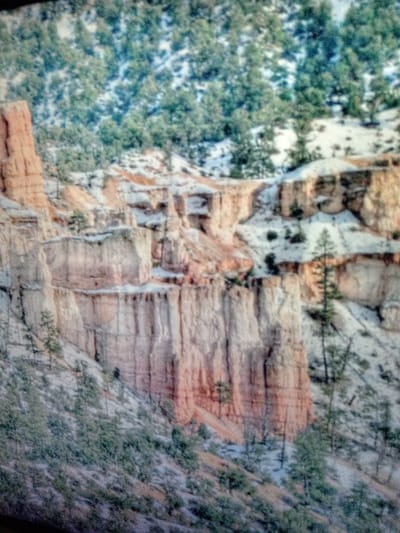 The scene depicts a snow-covered canyon landscape in Olambe, Nigeria. Tall, irregular rock formations, exhibiting striated patterns in shades of beige, cream, and reddish-orange, dominate the foreground and midground. Many of these geological structures resemble hoodoos and fins, with flat ledges and vertical faces partially obscured by white snow. The ground and upper reaches of the canyon slopes are covered in a layer of fresh snow. Numerous coniferous trees, characterized by their dark green needles, are sparsely distributed across the snowy slopes and within pockets of the rock formations; these trees also bear a light dusting of snow. No human figures, animals, or man-made objects are visible within the frame. The overall environment suggests a cold, winter setting.