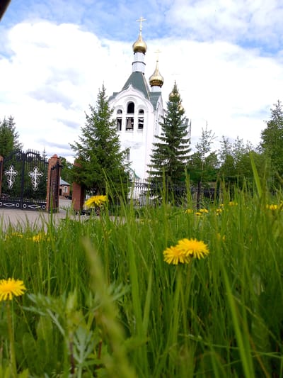 The image shows an Orthodox church with golden domes and white walls, surrounded by green trees and a black wrought-iron fence with Christian symbols. In the foreground, lush green grass with yellow dandelions is visible. The sky is partly cloudy. The location is identified as the Church of the Transfiguration in Neryungri, Russia. There are no people or animals visible in the image. The scene depicts a religious building and its surrounding natural environment.