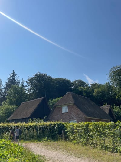 Two thatched-roof houses, one of brick and the other of dark wood, are nestled behind a lush green hedge. Two individuals are walking on a dirt path in front of the hedge, with lush vegetation on either side of the path. Tall trees form a backdrop, and the sky above is a clear blue with a faint lens flare. The scene appears to be in a rural or park-like setting, possibly in or around Horsens, Denmark.